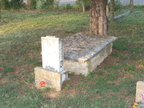 Tomb next to tree
