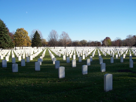 Vast rows of graves