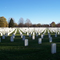 Vast rows of graves