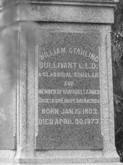 Sullivant Family - Detail