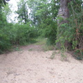 Path to Cemetery