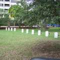 Veteran's Graves