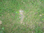 Buried Marker