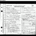 Charles Louis Nelson - Death Certificate.gif